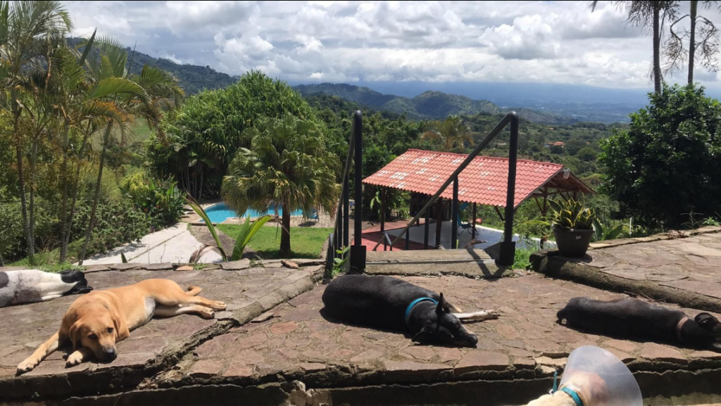 Casa Nirvana Rescue Cnetre Costa Rica Volunteer Travel